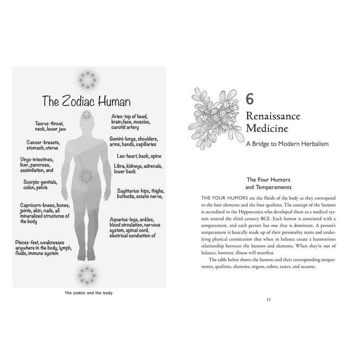 Simon & Schuster - Wholesale Medical Health - Della Medicina by Lisa Fazio5