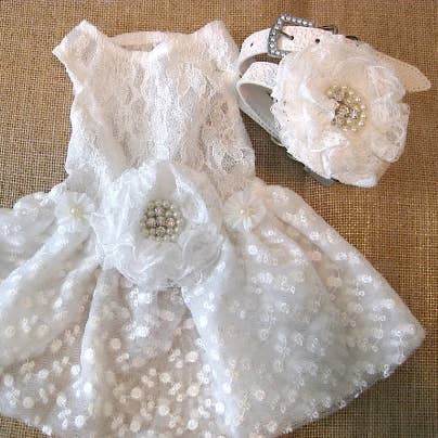 Formel hundekjole | The Bianca for engroshandel hos House of FurBaby