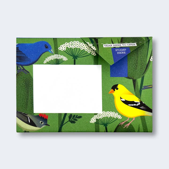pigeonposted - Wholesale Stationery/Notecard Set - Carnival of Colour Pigeon letter pack