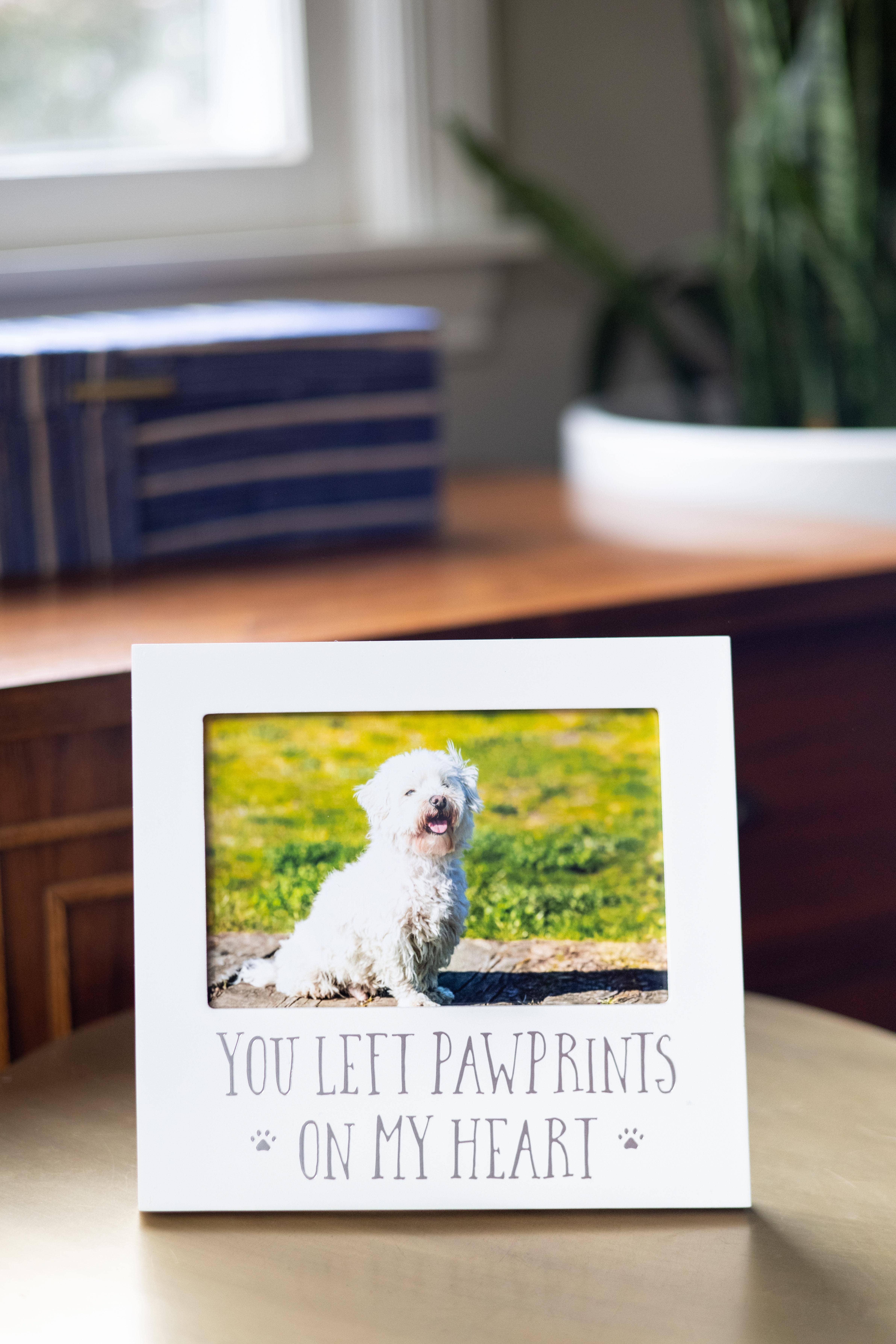 Pearhead - Wholesale Picture Frame - You Left Pawprints On My Heart Sentiment Frame2