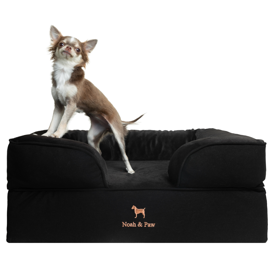 NOAH AND PAW LLC – Großhandel Haustierbett – Katze/Hund – Orthopädisches Haustierbett aus Denim, Memory-Schaum, mit kühlendem Gel durchzogen6