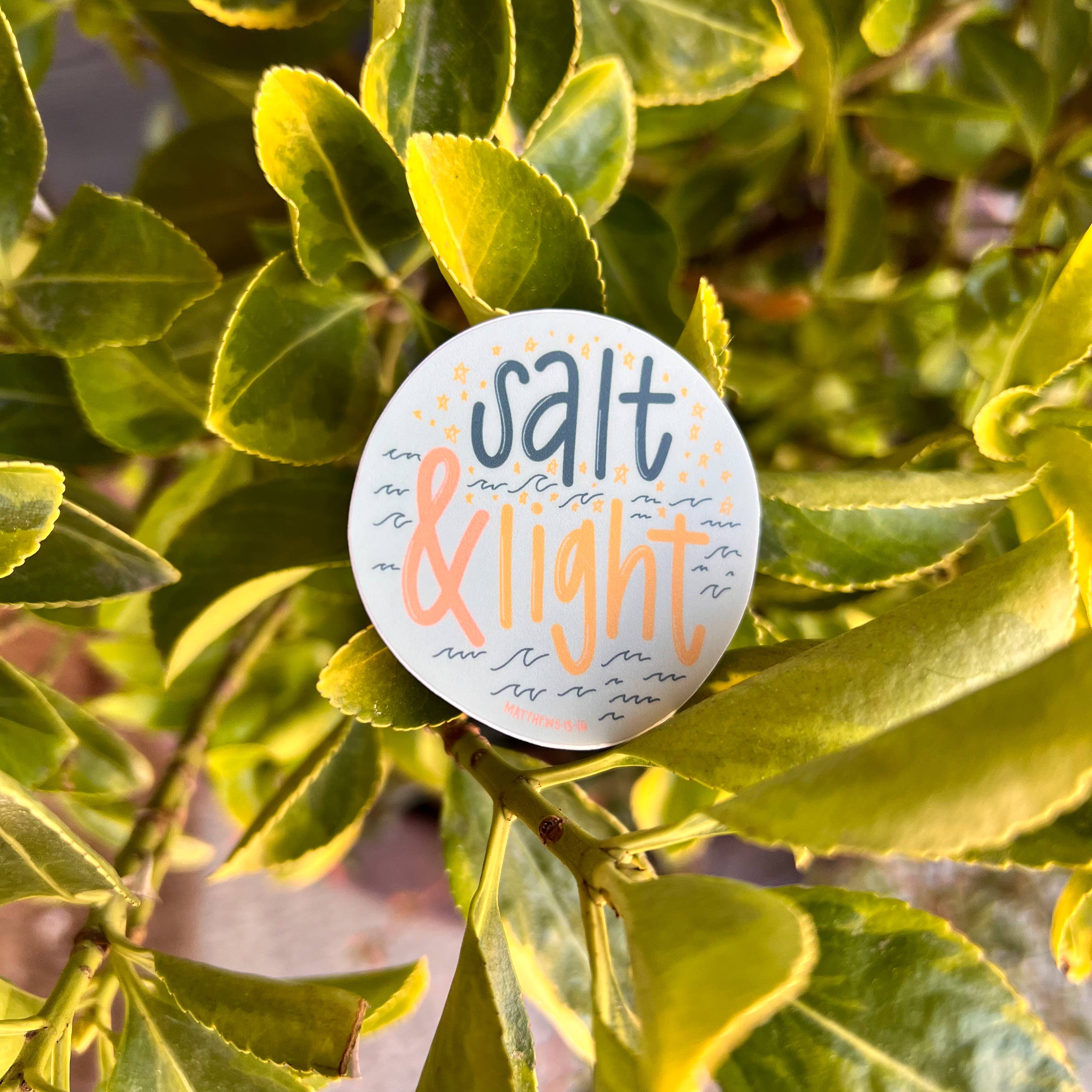 swaygirls - Wholesale Sticker - Salt & Light Sticker11