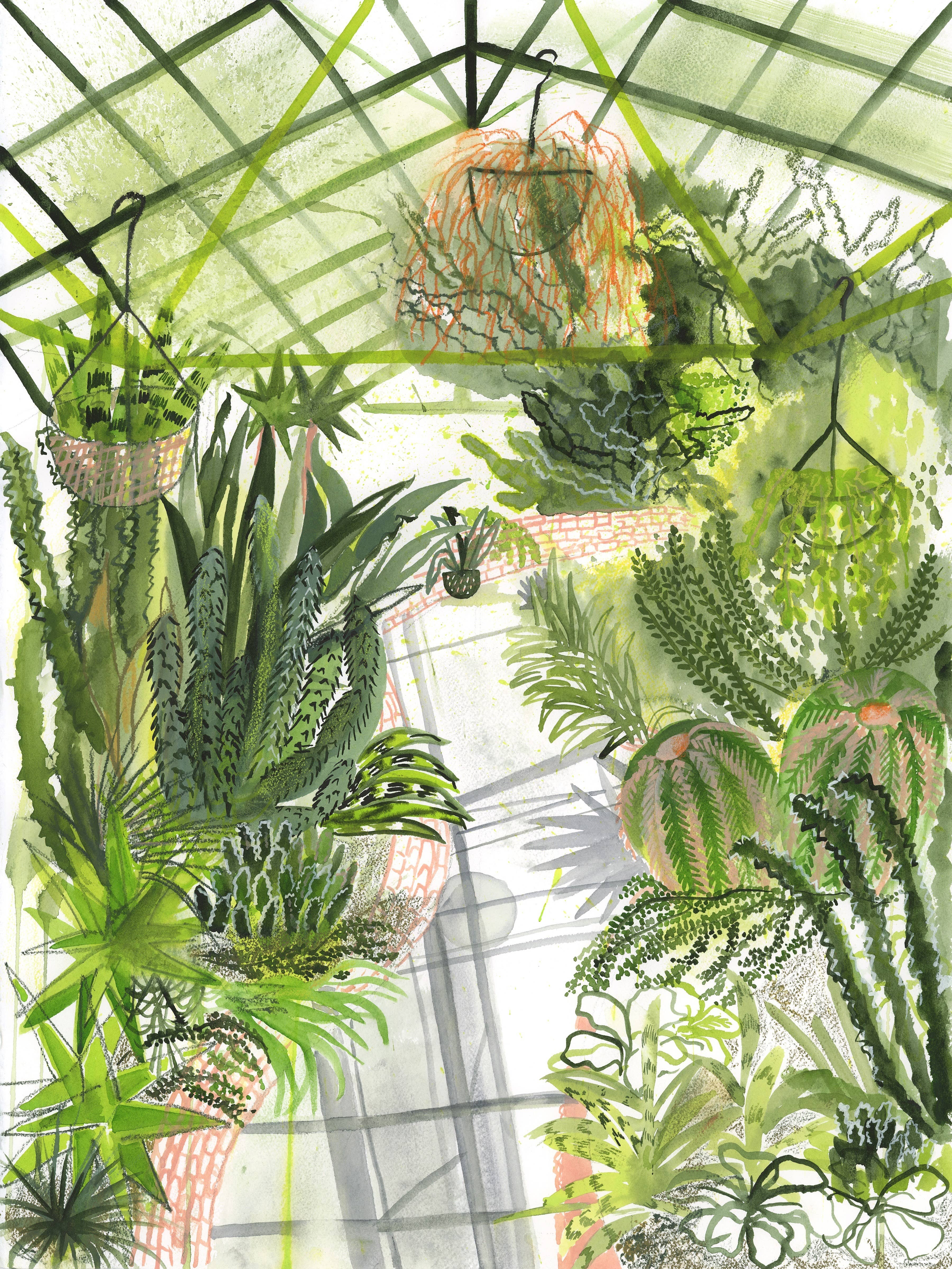 ApoorvaMittalDraws - Wholesale Art Print - Greenhouse Art Print that shows Botanical Beauty1