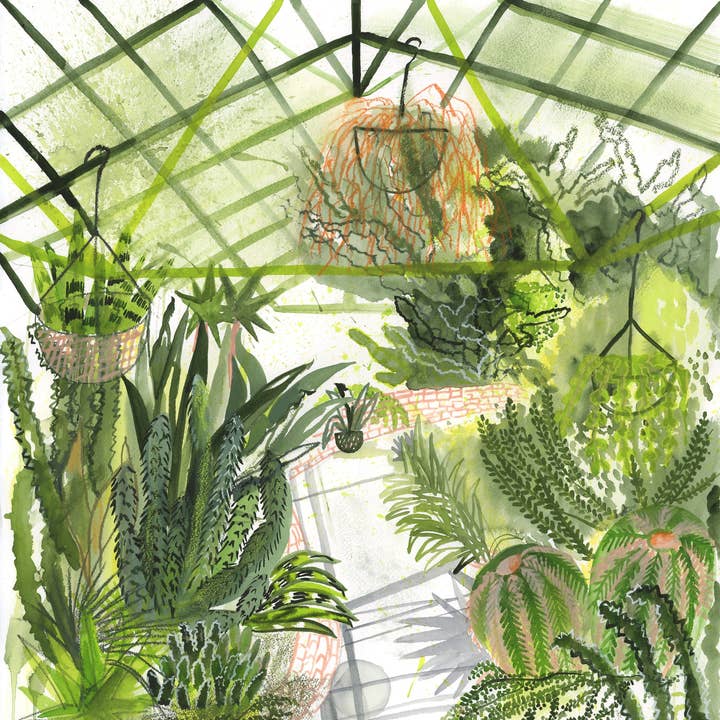 ApoorvaMittalDraws - Wholesale Art Print - Greenhouse Art Print that shows Botanical Beauty1