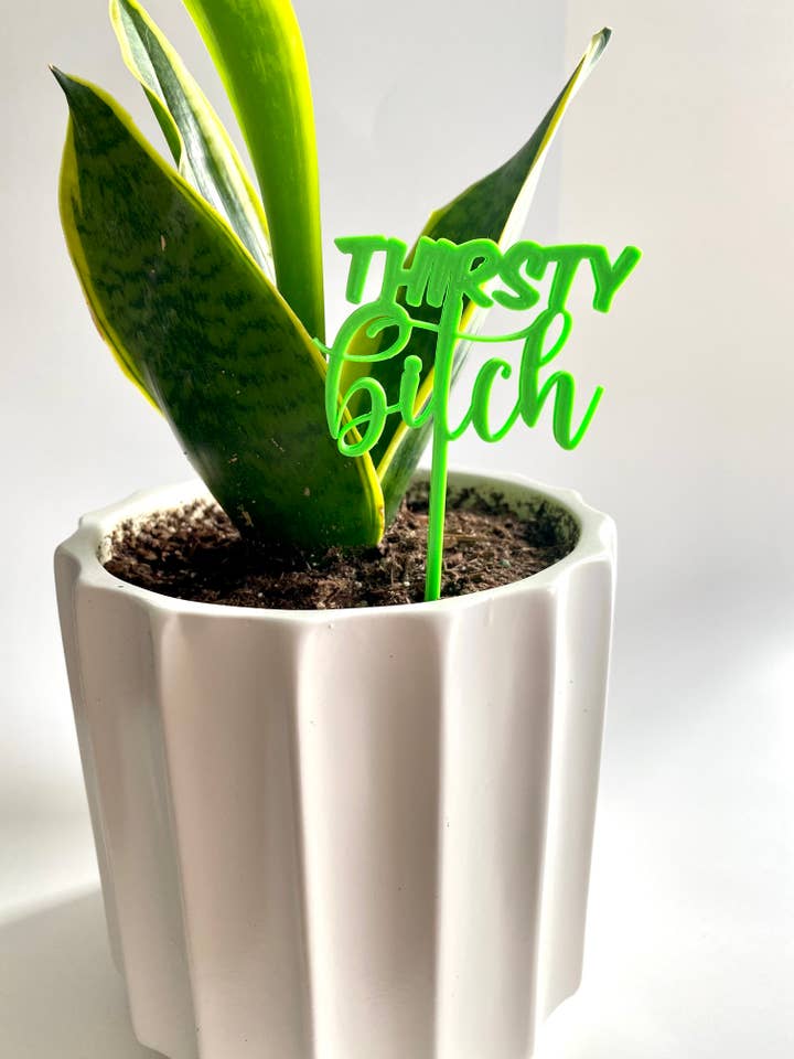 Thirsty Bitch plant decor for wholesale by Love Always Leslie