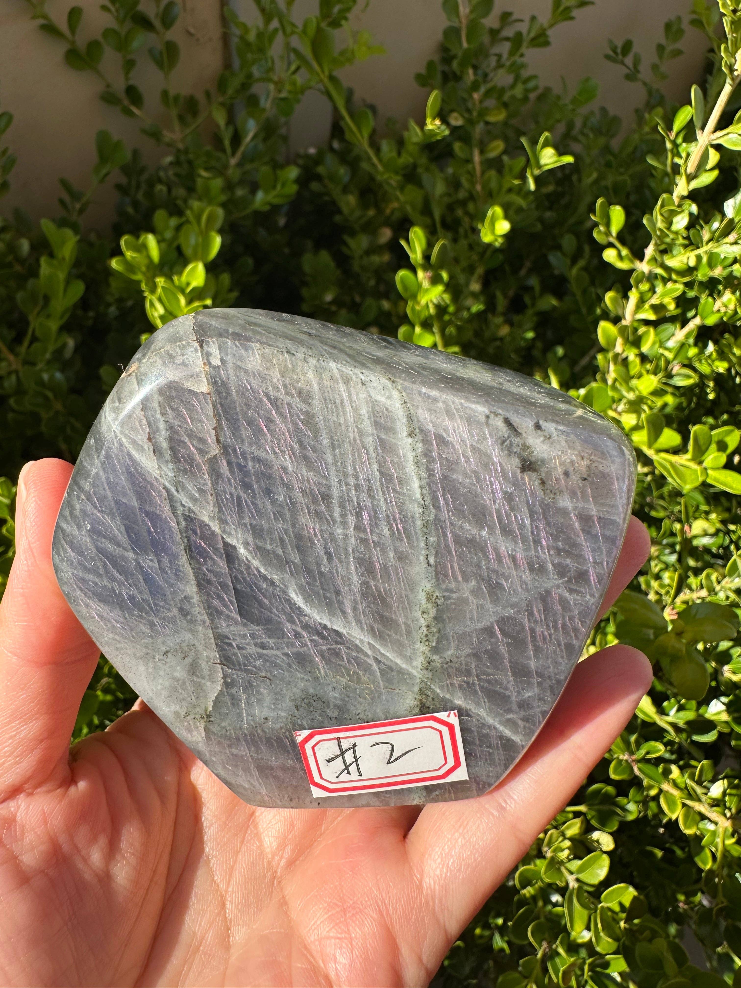 Moon Rituals - Vendita all'ingrosso Pietra/cristallo spirituale - Labradorite Viola Forma Libera, Regalo di Natale di Cristallo #23