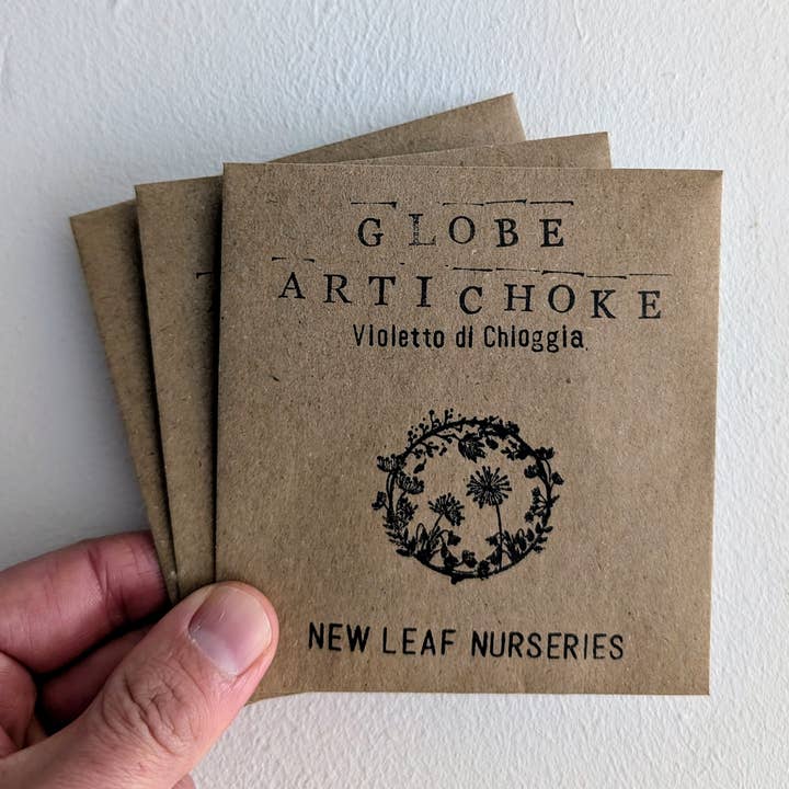 New Leaf Nurseries – wholesale Plant seeds – Artichoke, Globe 'Violetto di Chioggia0