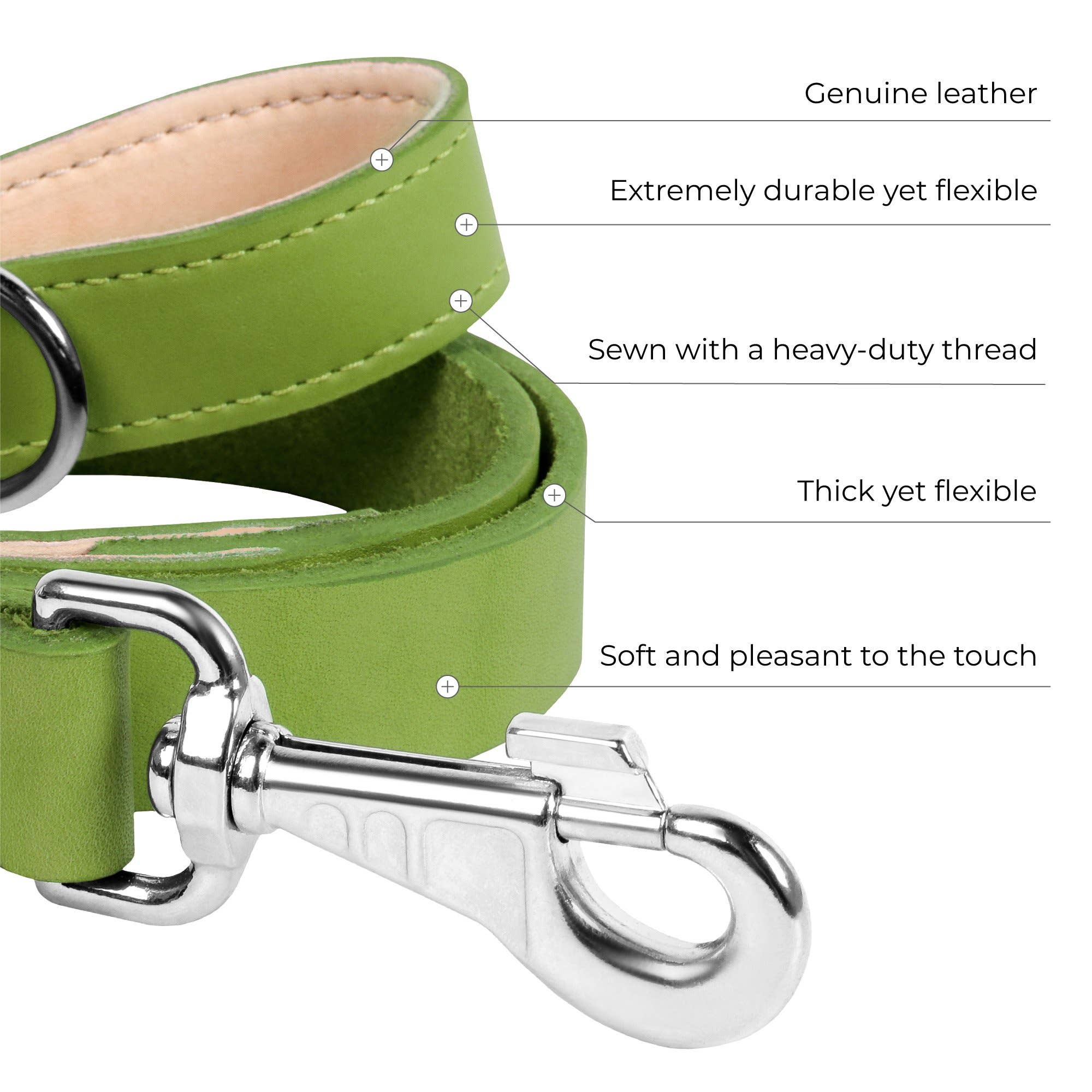 WAUDOG - Vente Laisse – chien - Laisse en cuir classique avec clip en métal6