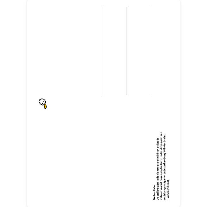 Eendje - Wholesale Everyday Greeting Card - Postcard with Stellers Eider1
