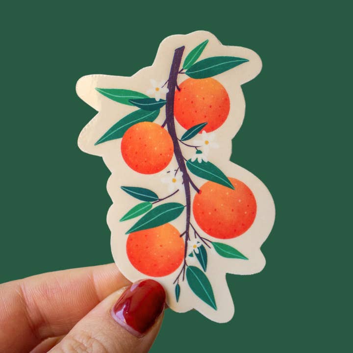 Apelsiner för wholesale av Brightrose Studio