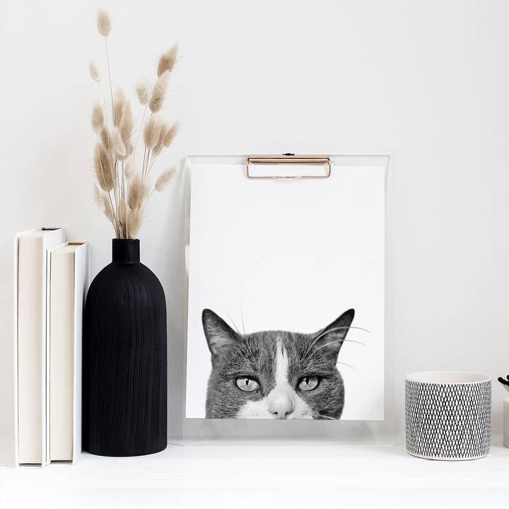 Cat 6 (Gray & White) Unframed Peeking Print for wholesale by Perkie Prints