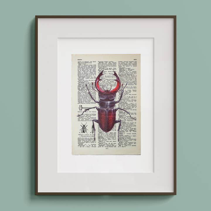 Stag Beetle Vintage Book Page A4 Art Print for wholesale by Hands & Hearts