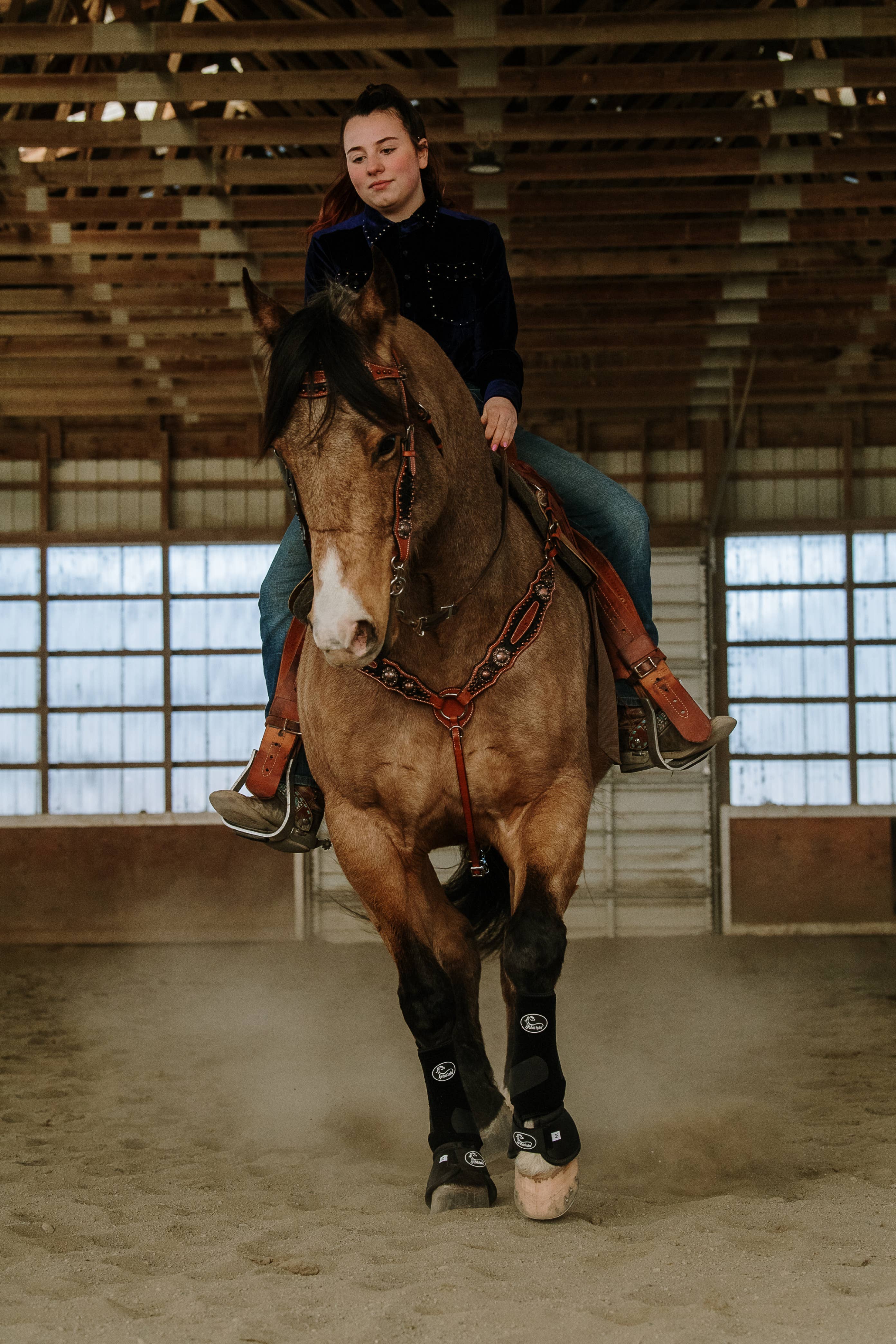 Schulz Equine - Vendita all'ingrosso Attrezzatura da equitazione - Set copricapo e colletto pettorale Jesse James2