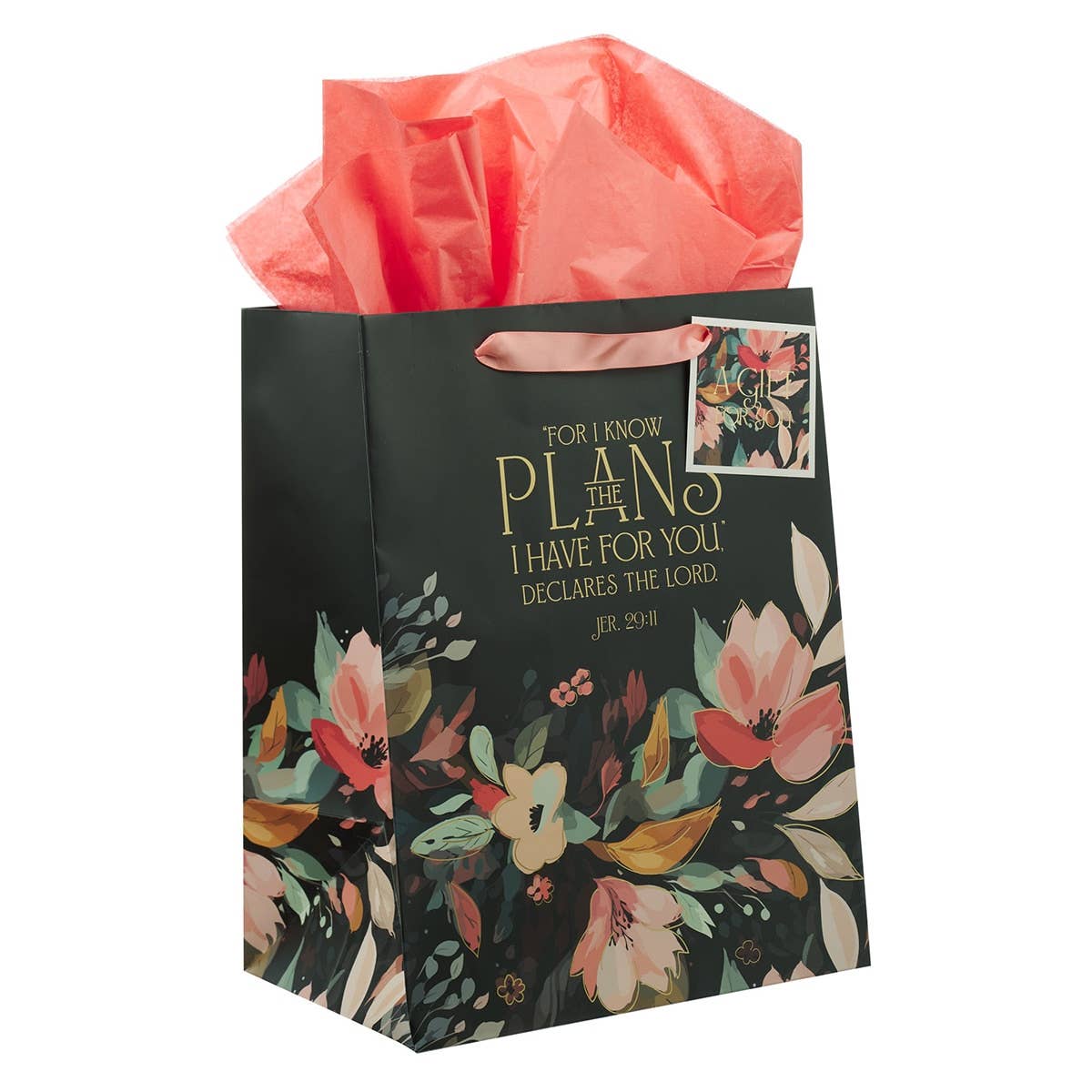 Christian Art Gifts - Vente Pochette cadeau - Sac-cadeau LG Portrait Hope & A Future Jr. 29:112