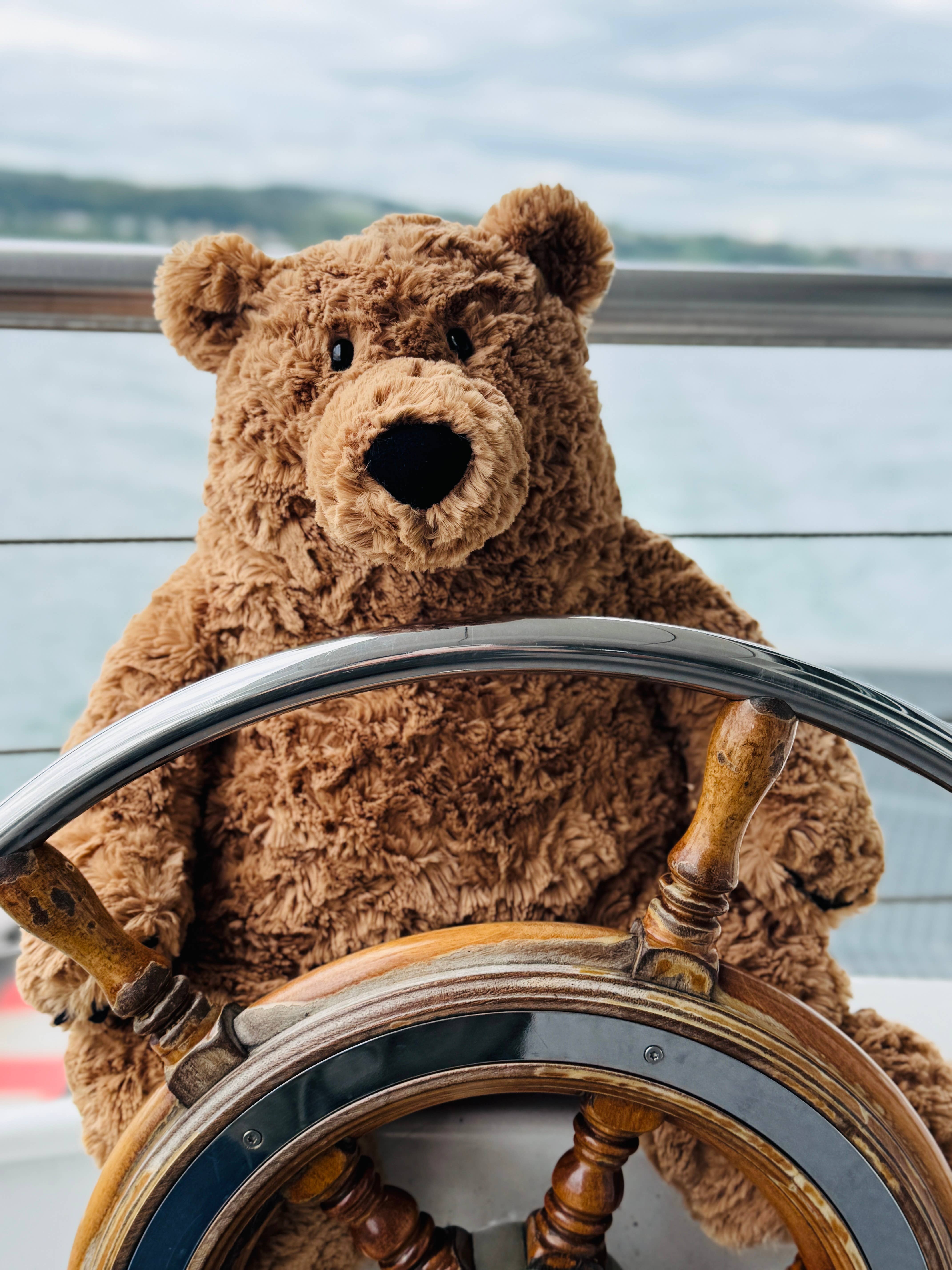 Teddy Hermann - Vente Peluche – enfant et bébé - Casimir l’ours brun 50 cm – Peluche – Animal en peluche1