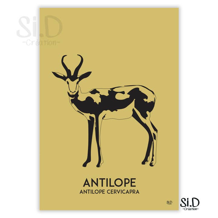 Antilope pour la vente par Si.D
