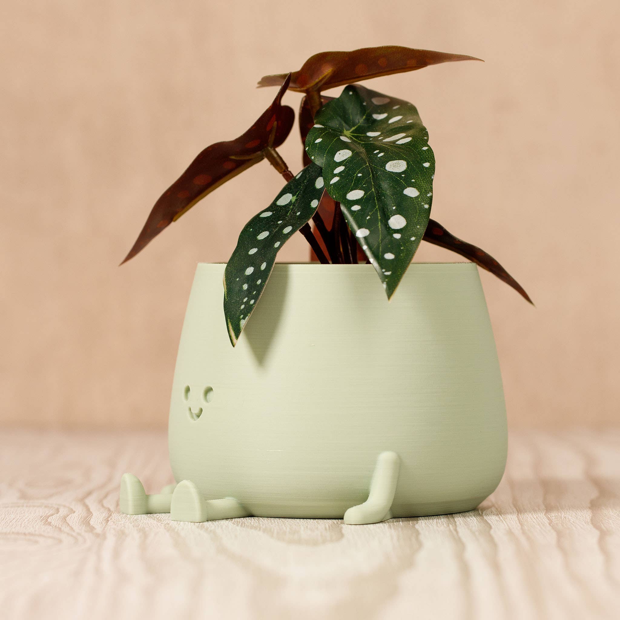 Ingadi – Großhandel Blumentopf – Happy Pot Blumentopf - Salbei3