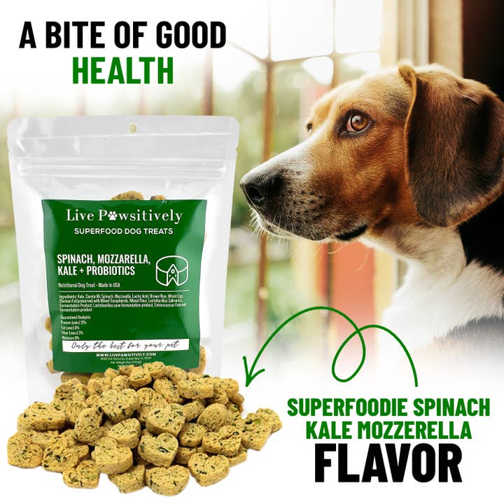 Live Pawsitive - Wholesale Pet Treats - Dog - Spinach, Mozzarella, Kale & Probiotics (soft dog treat)1