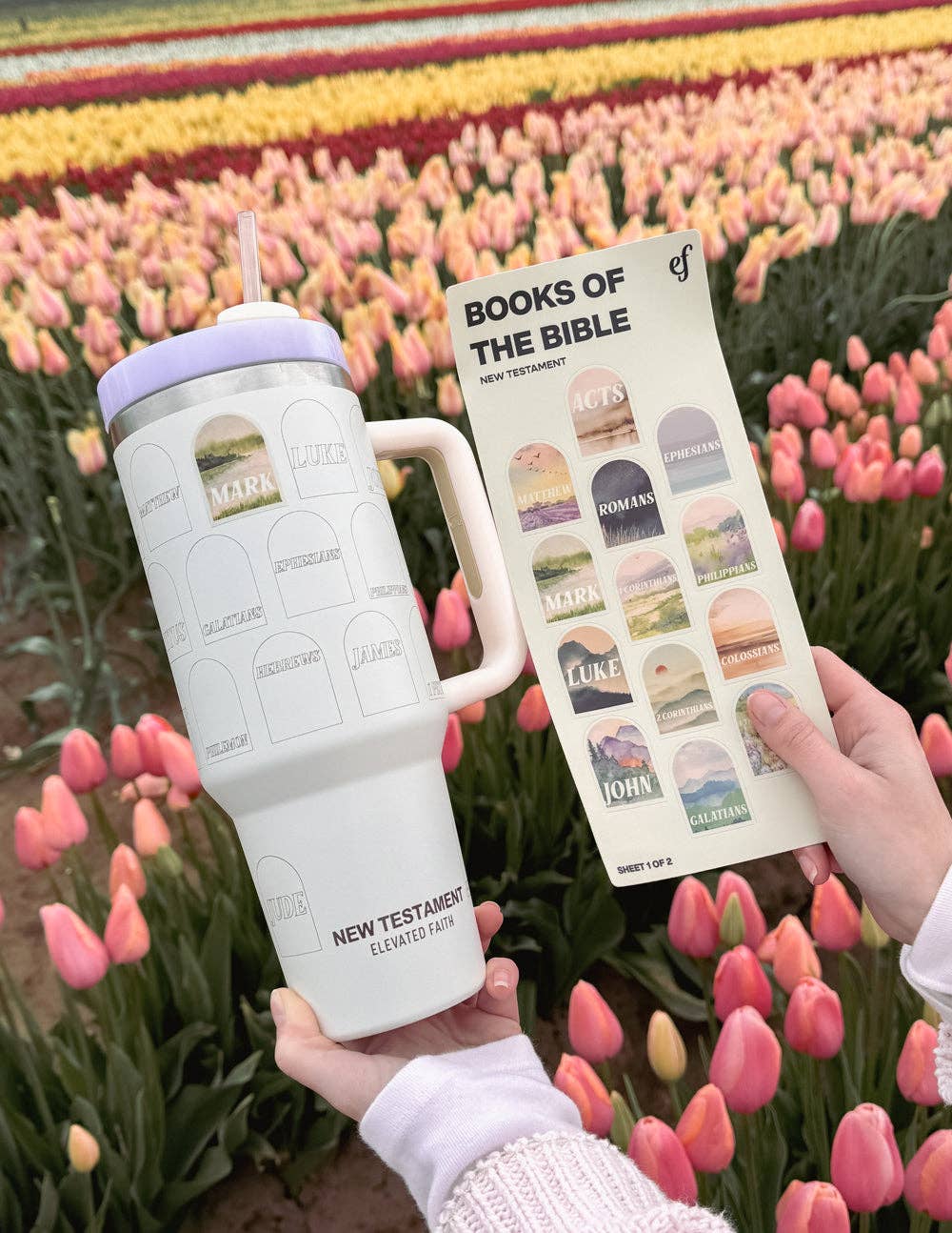 Elevated Faith - Wholesale Insulated Mug/Tumbler - NT Bible Checklist 40 oz Tumbler2