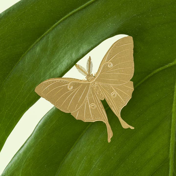 Plant Animal - Luna Moth, House Plant Charm for wholesale by Another Studio UK
