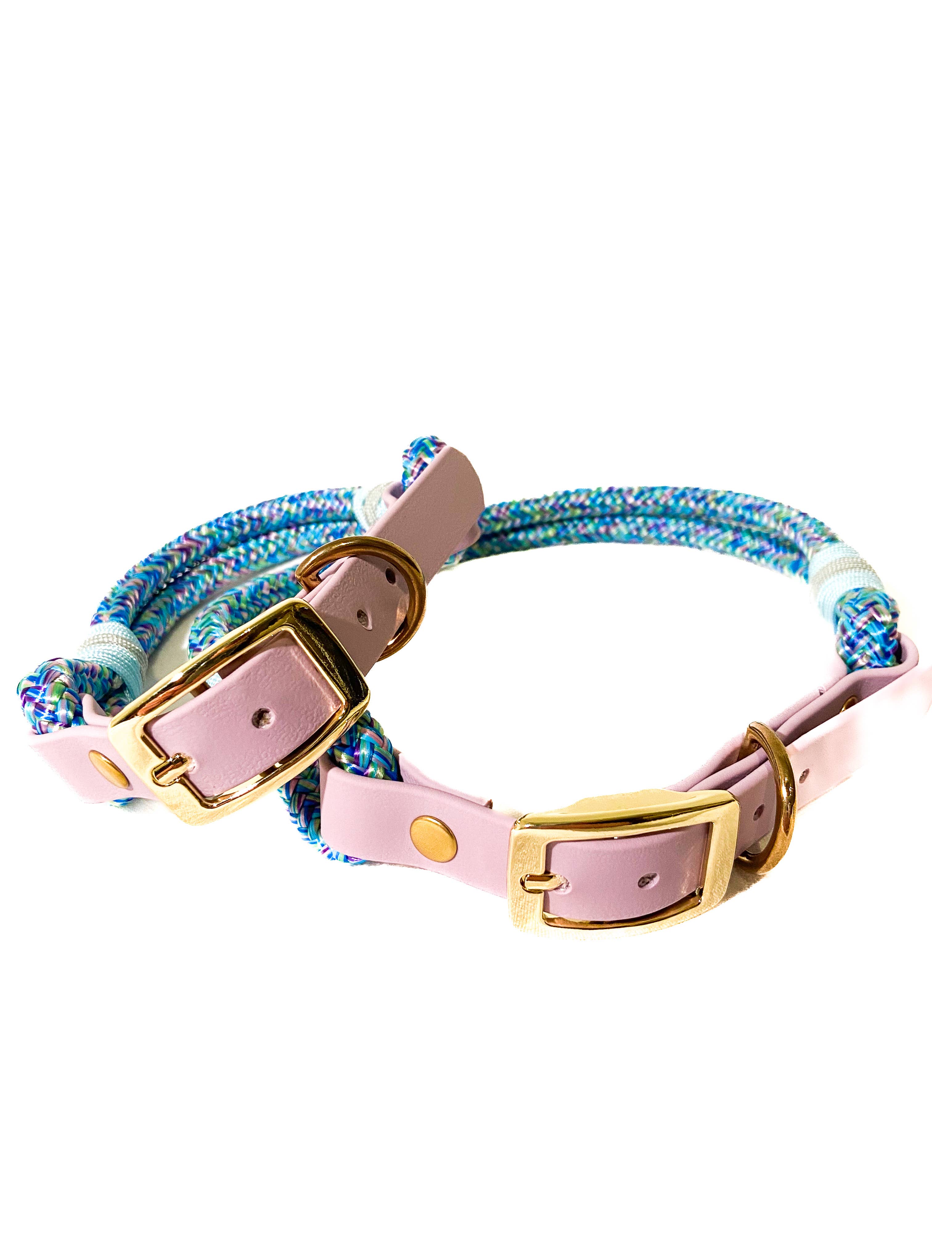 Todas as cores Coleiras e guias para cães em Biothane e paracord para venda a revendedores na Faire9