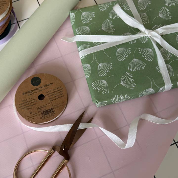 Cascayde – wholesale Ribbon – Gift wrapping – Pearl White Biodegradable Ribbon 5m Reel (9mm)2