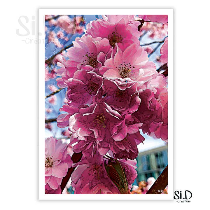 Fleurs pour la vente par Si.D