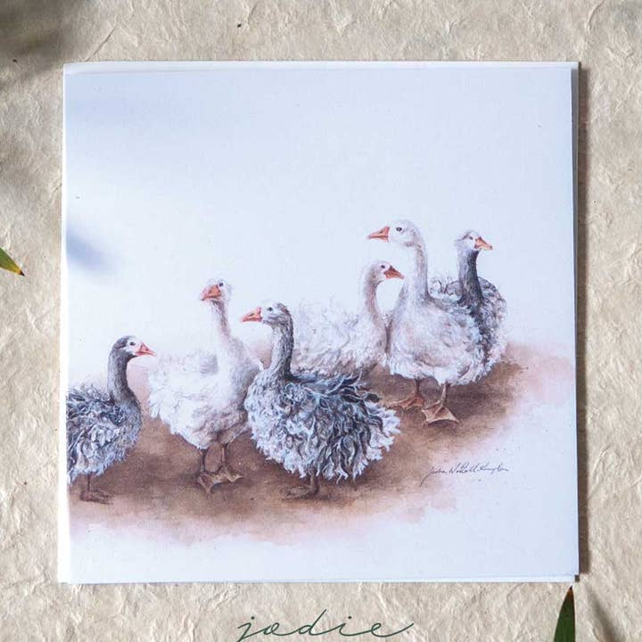 ‘Afternoon Gaggle’ Sebastapol Geese - Greeting Card for wholesale by Jodie Westall Art
