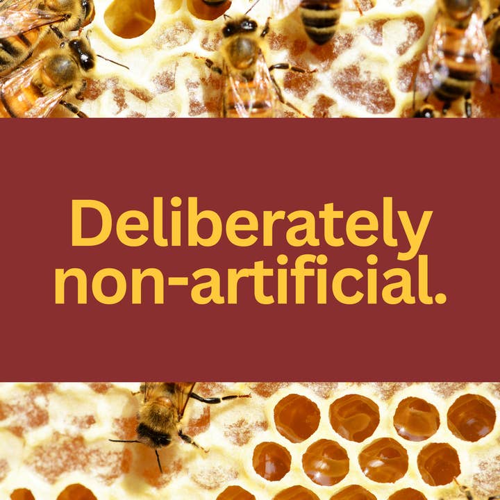 Arvoli Honey - Wholesale Honey - Elderberry Infused Bulk Honey Sticks (200 Case)3