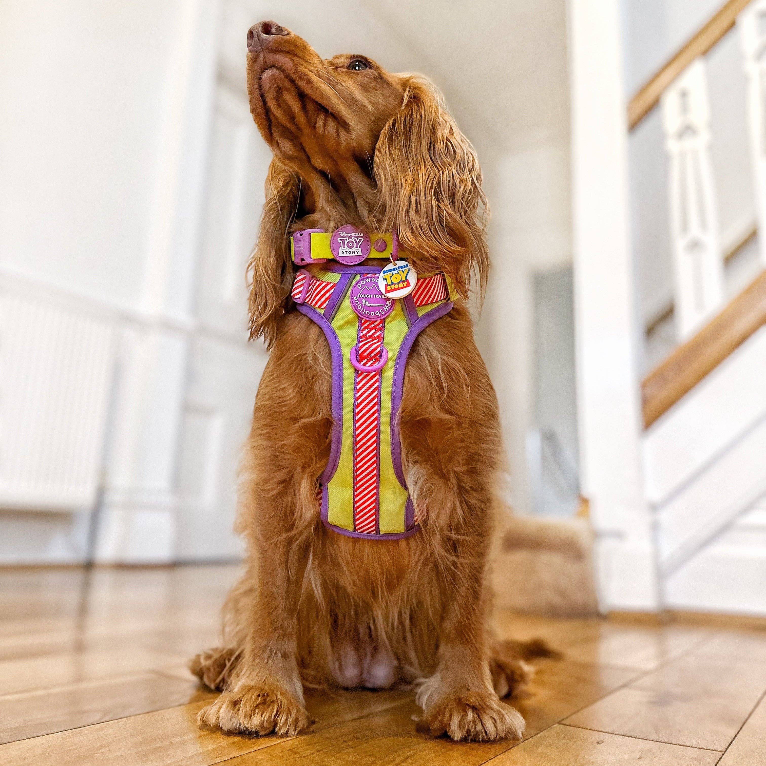 Pawsome Paws – Engroshandel Vedhæng til halsbånd - Kat/hund – Disney© Halsbånd/Line Charm - Toy Story6