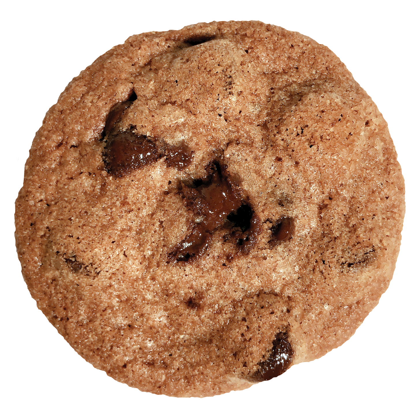 Eleni's Cookies - Wholesale Cookie - Chocolate Chip Crisp Cookie Rectangle Box2