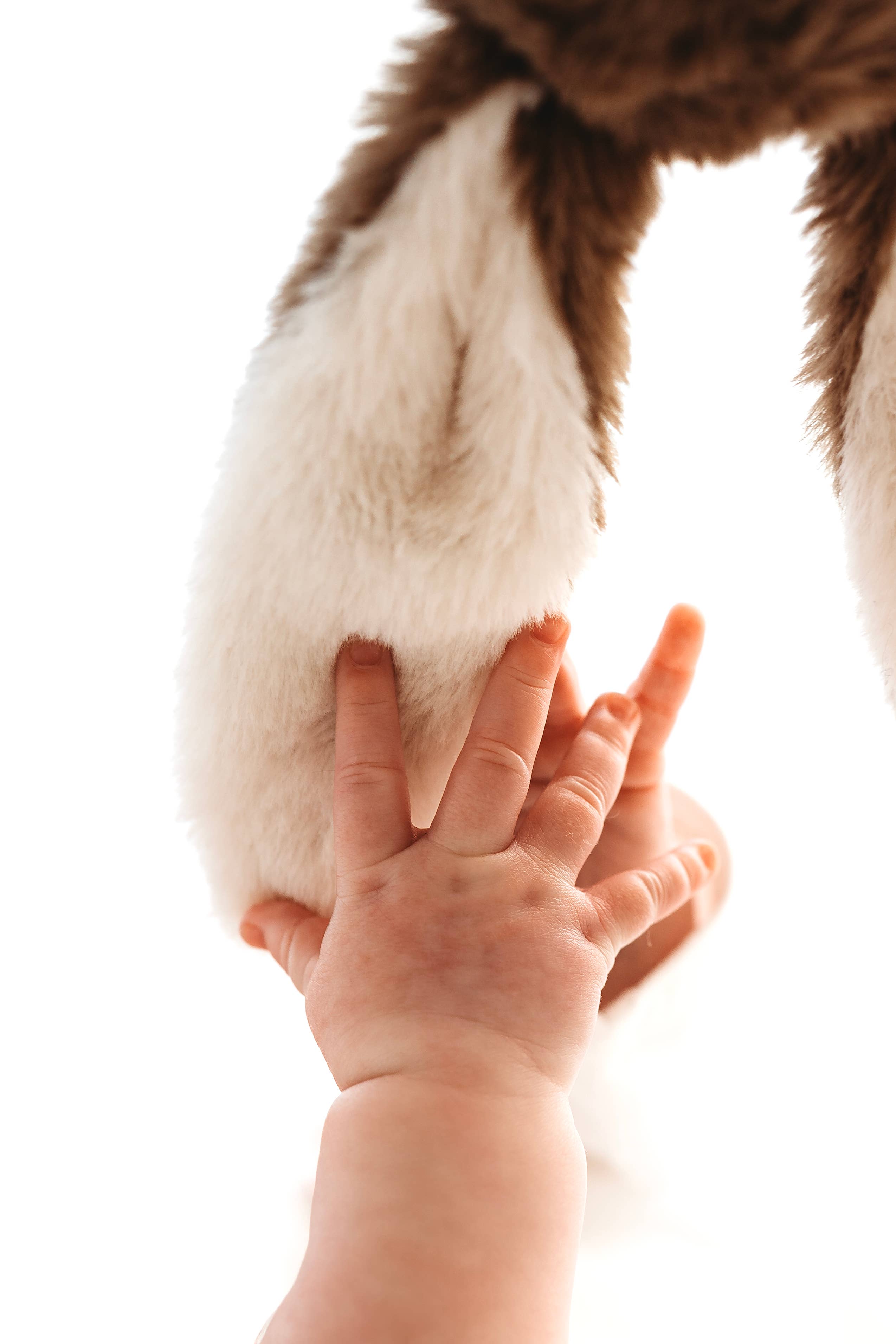 DesignsbyalittlebitofHope – Großhandel Sicherheits-/Kuscheldecke – Baby – Brauner Hase Kuschelbär2