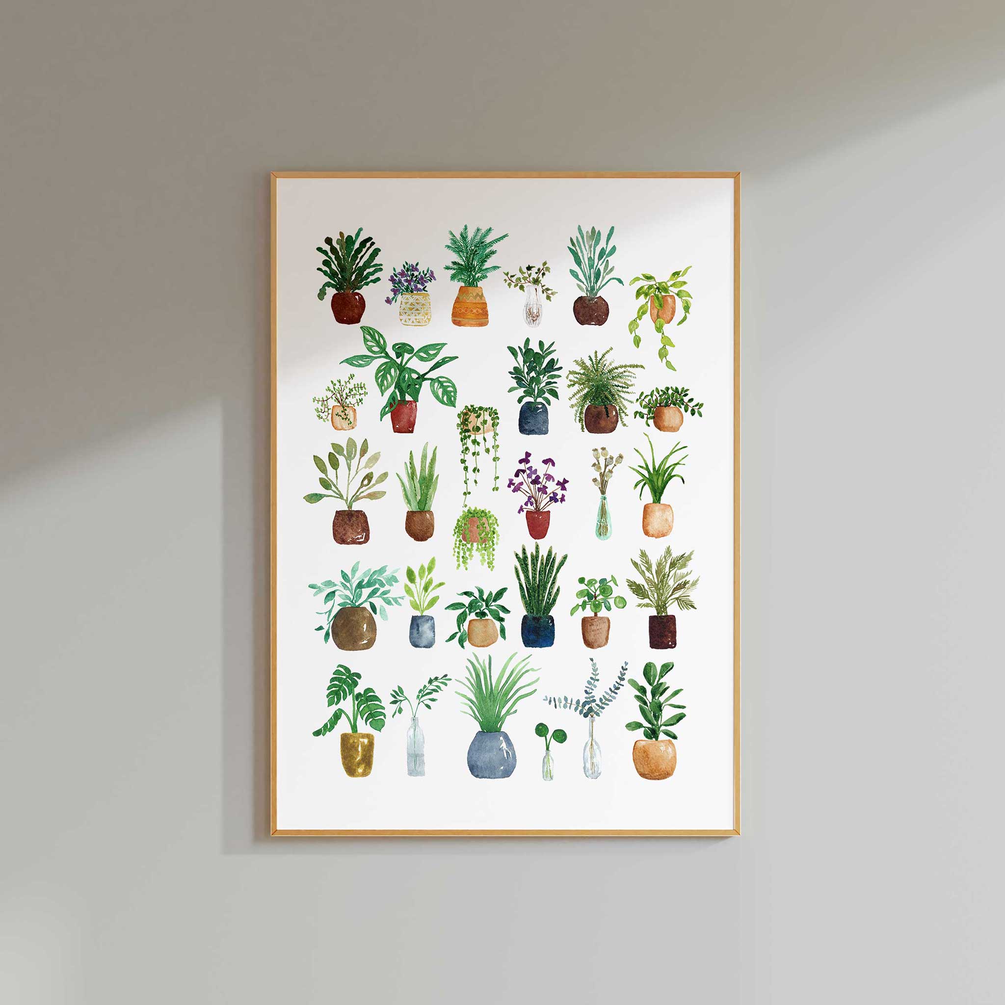 Jenny Vellacott - Wholesale Art Print - House Plant Print for Plant Lover Print of Plants Green3