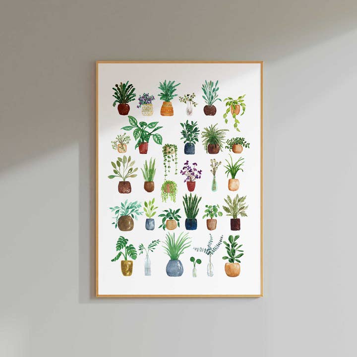 Jenny Vellacott - Wholesale Art Print - House Plant Print for Plant Lover Print of Plants Green3