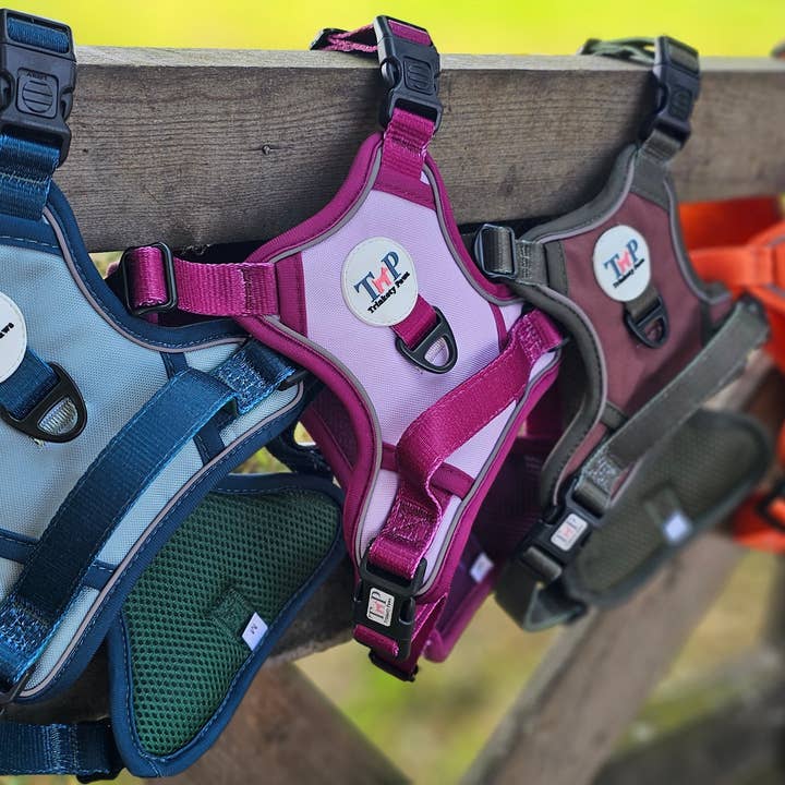 Trinkety Paws - Wholesale Pet Harness - Dog - Stormberry – EasyFit™ Dog Harness by Trinkety Paws 6