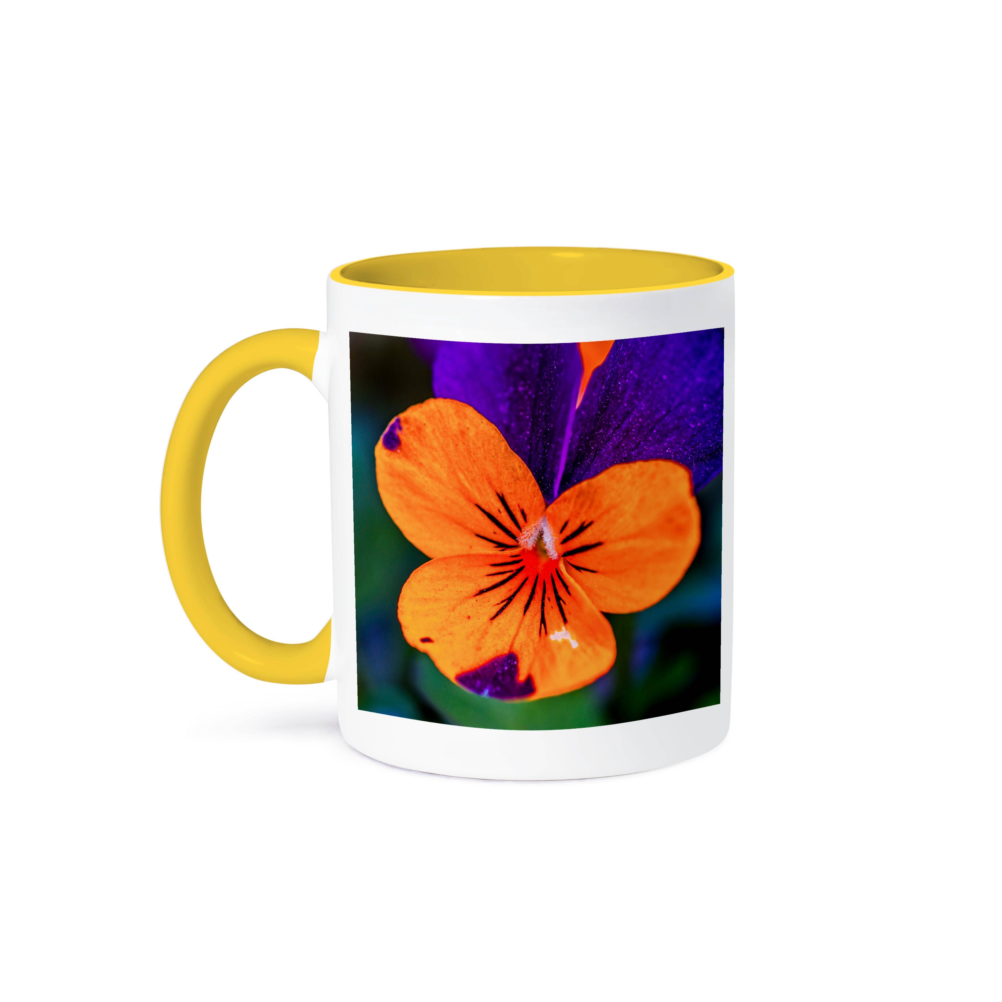 3dRose – wholesale Coffee mug – 3dRose, Pansy viola tricolor flower of vibrant orange and violet colors, Mug0