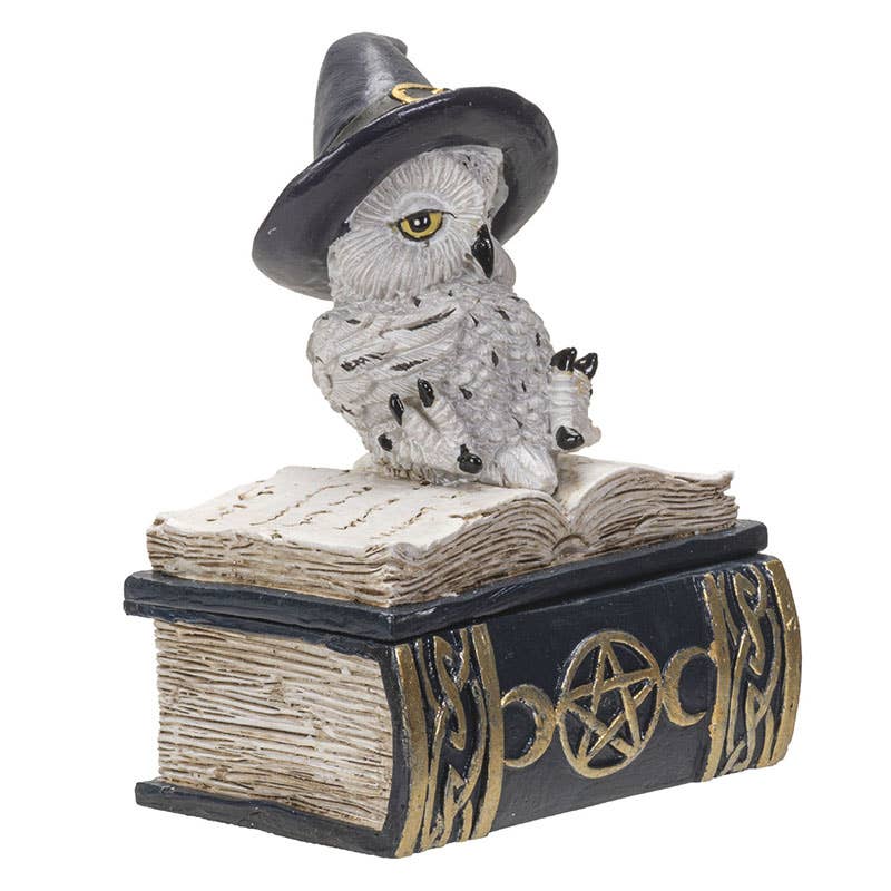 Pacific Trading – Großhandel Dekofigur – Eule auf Zauberbuch2