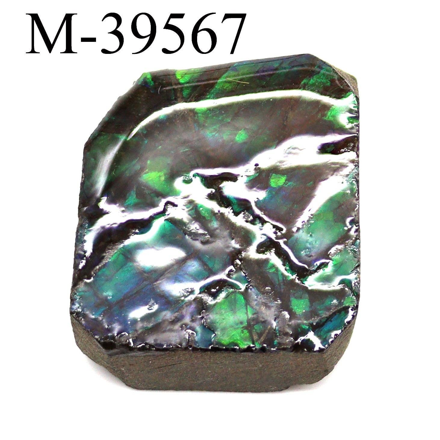 Crystal River Gems LLC - Wholesale Spiritual Stone/Crystal - M-39567 Polished Fire Ammolite From Canada
