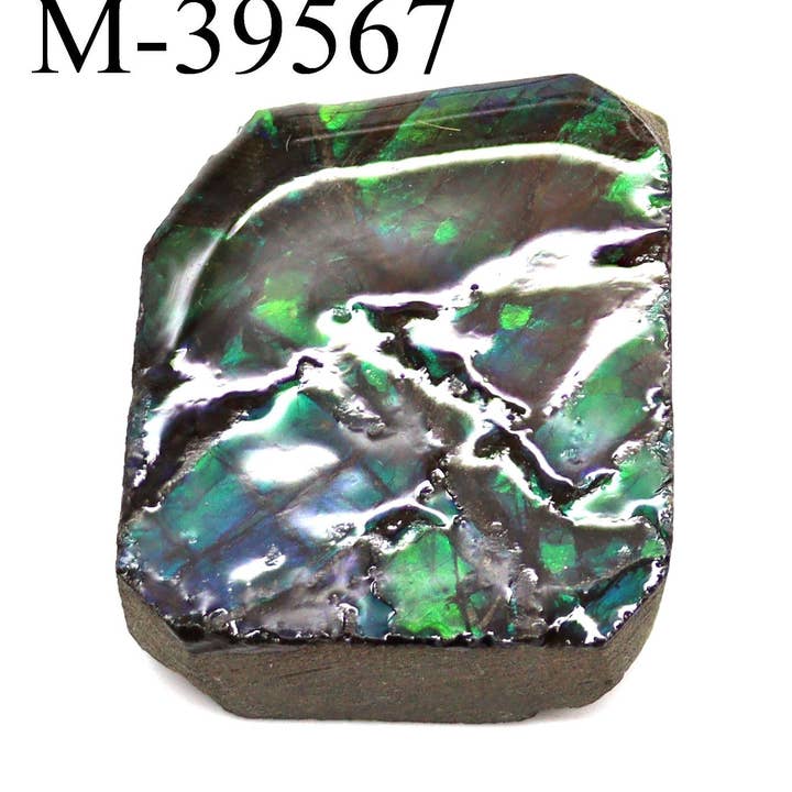 Crystal River Gems LLC - Wholesale Spiritual Stone/Crystal - M-39567 Polished Fire Ammolite From Canada0