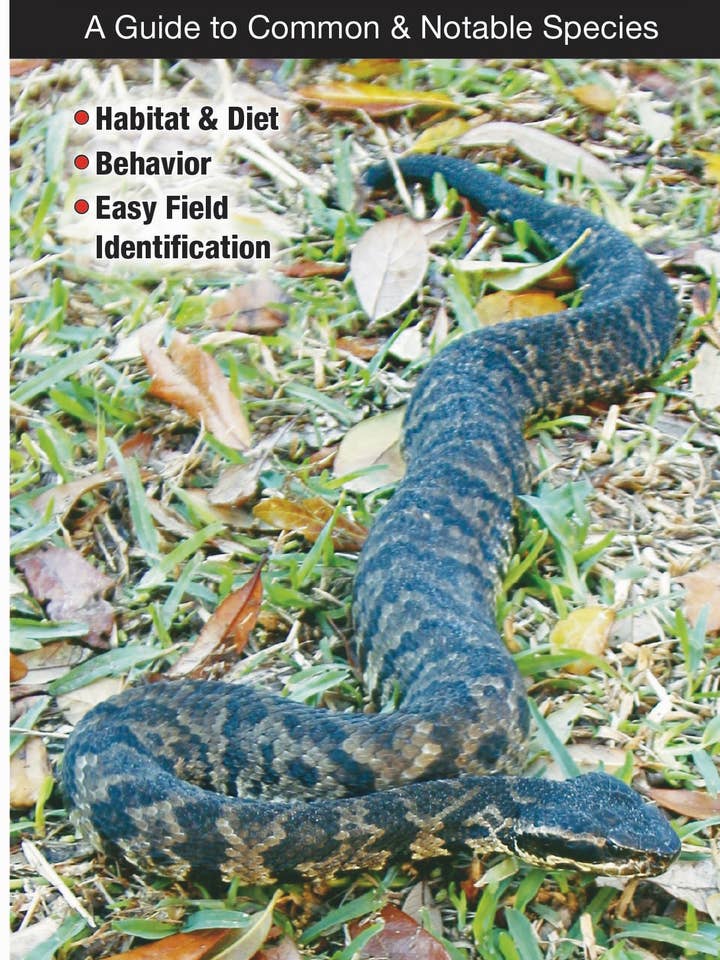 Snakes of the Midwest for wholesale by Quick Reference Publishing, Inc