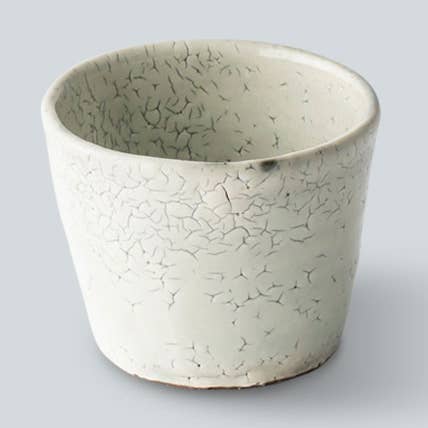 Japacolle — Japan Collections | See Latest News in "About" – wholesale Drinking glass/cup – Minami Free cup0