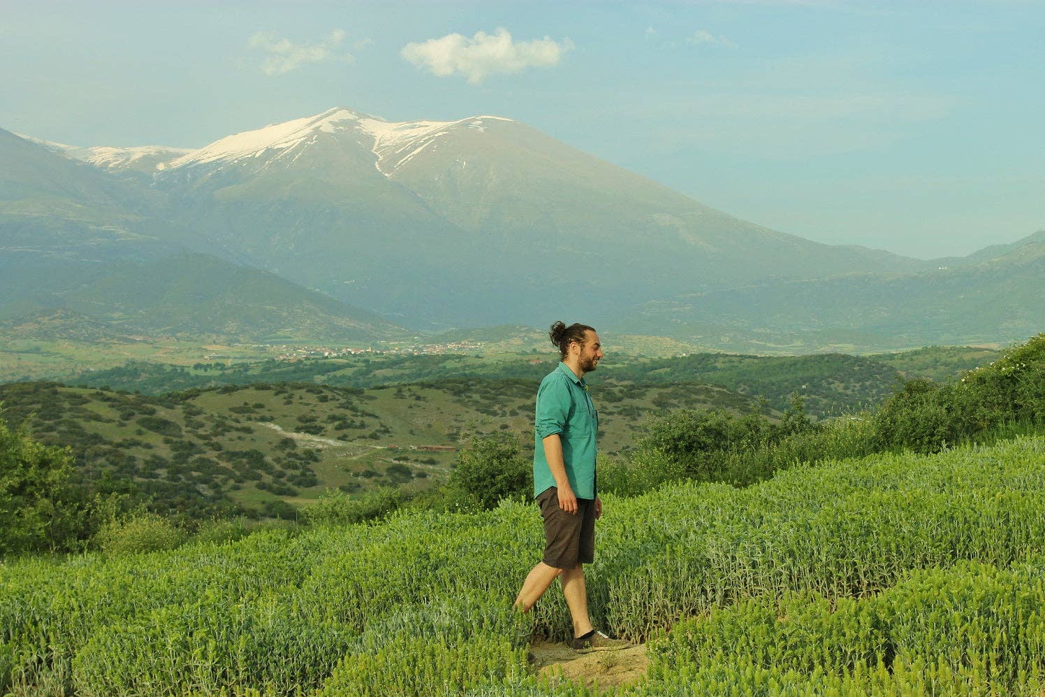 Aroma Olymp - Wholesale Health/Detox Tea - Greek organic mountain tea from Olympus1