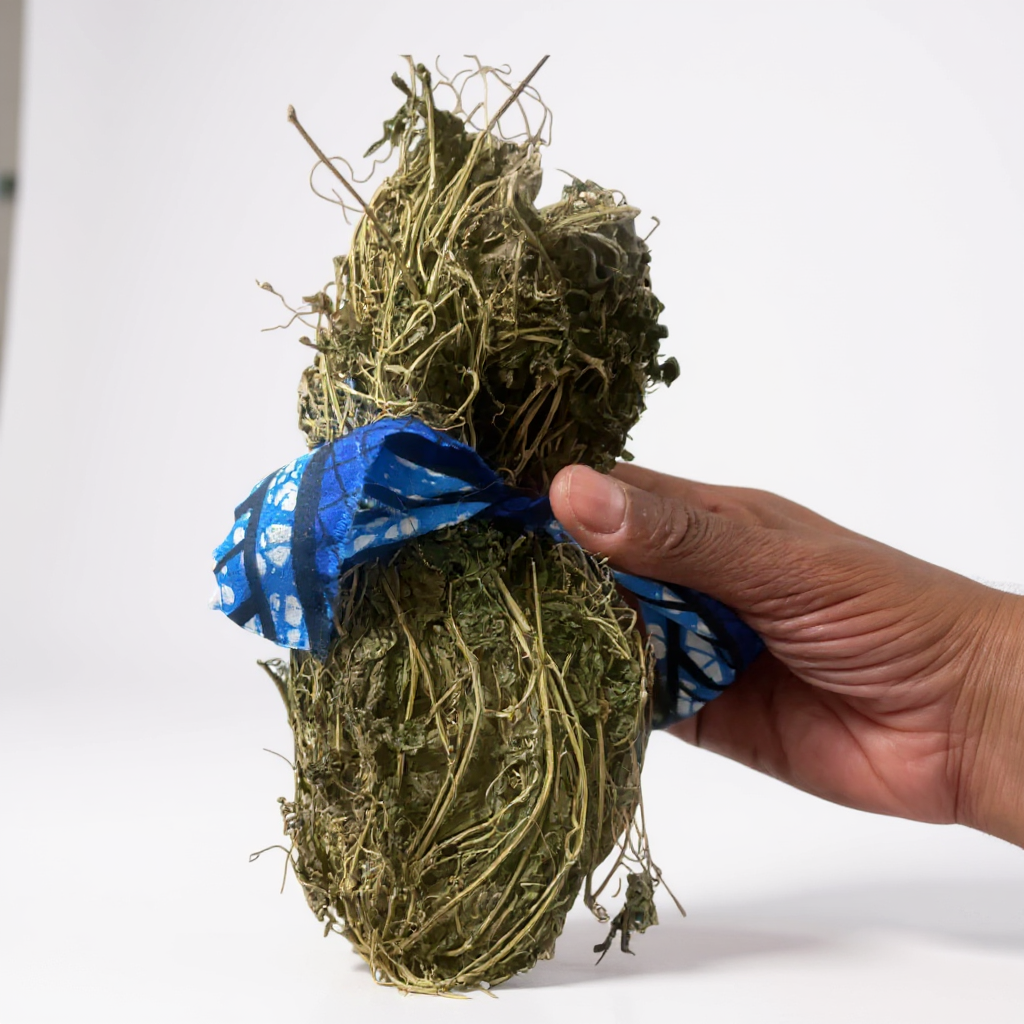 ELITEA - Wholesale Health/Detox Tea - 🌿 Mbeurbeuf Leaf (Momordica charantia) 50g0