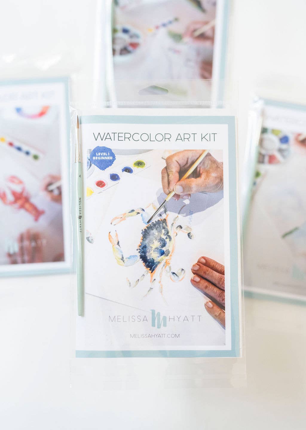 Melissa Hyatt - Wholesale DIY Craft Kit - Watercolor Art Kit- Blue Claw Crab8