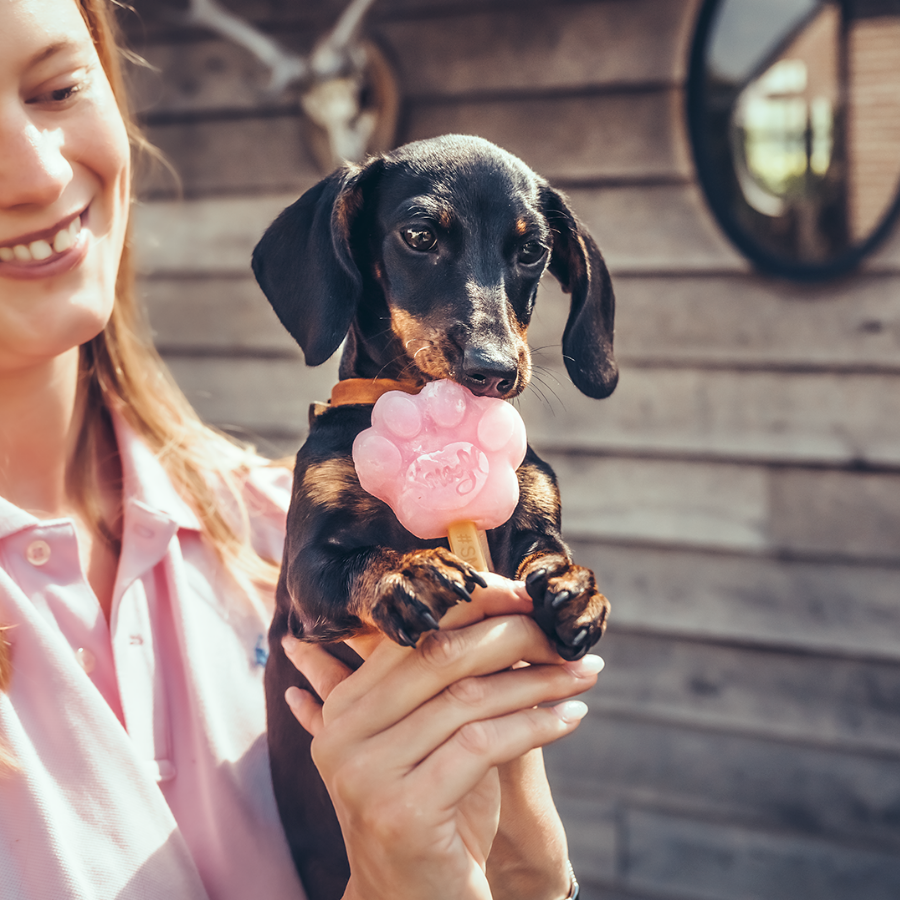 Smoofl - Vendita all'ingrosso Snack - Cani - Kit per cuccioli Smoofl per gelati per cani1