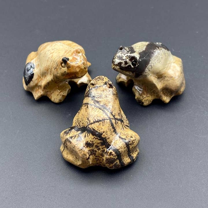 Piccola statuetta di rana in diaspro paesina per la vendita all'ingrosso da parte di Crystal River Gems LLC