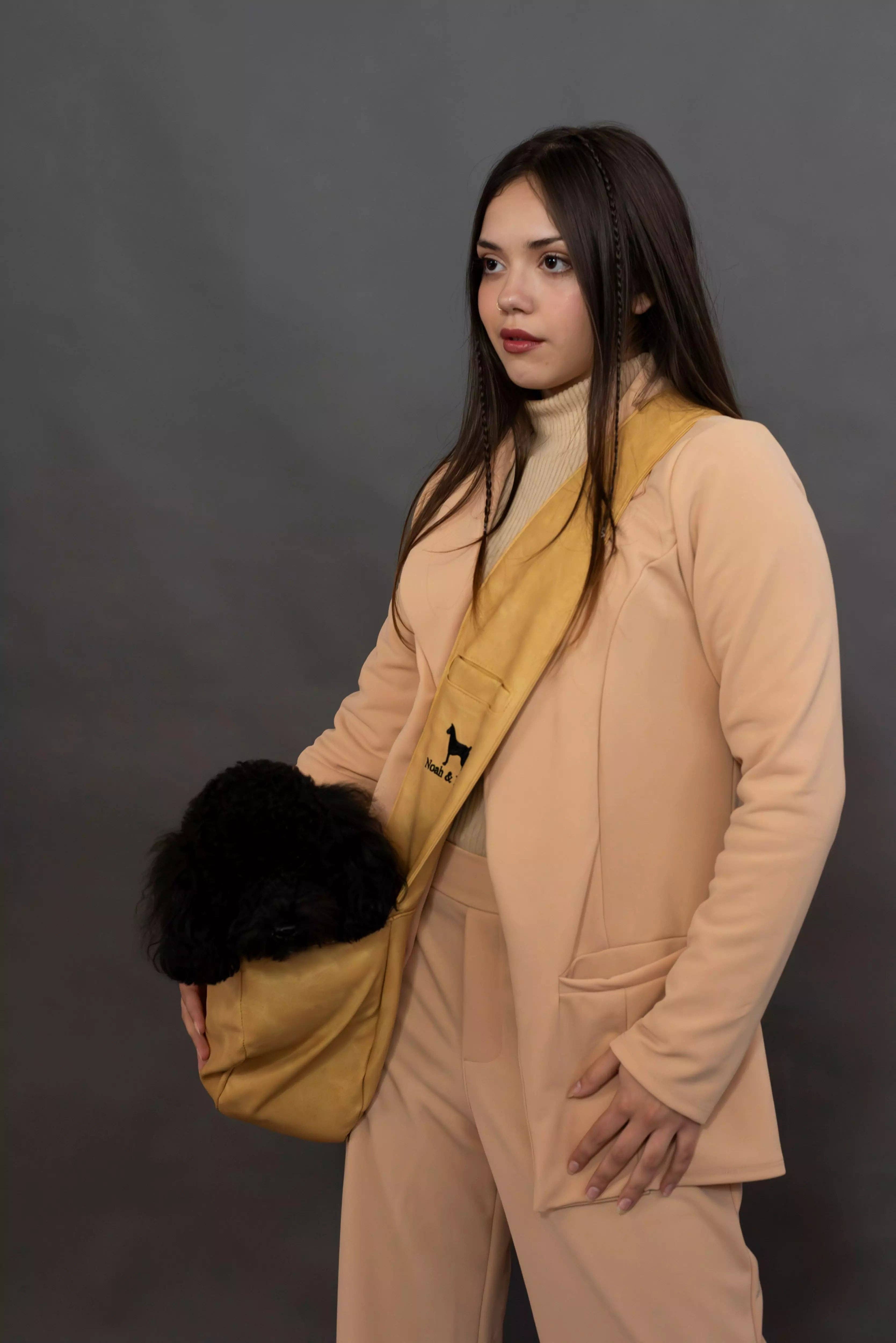 NOAH AND PAW LLC - Vente Caisse de transport – chat et chien - Porte-animal en bandoulière en cuir vegan avec triple sécurité29