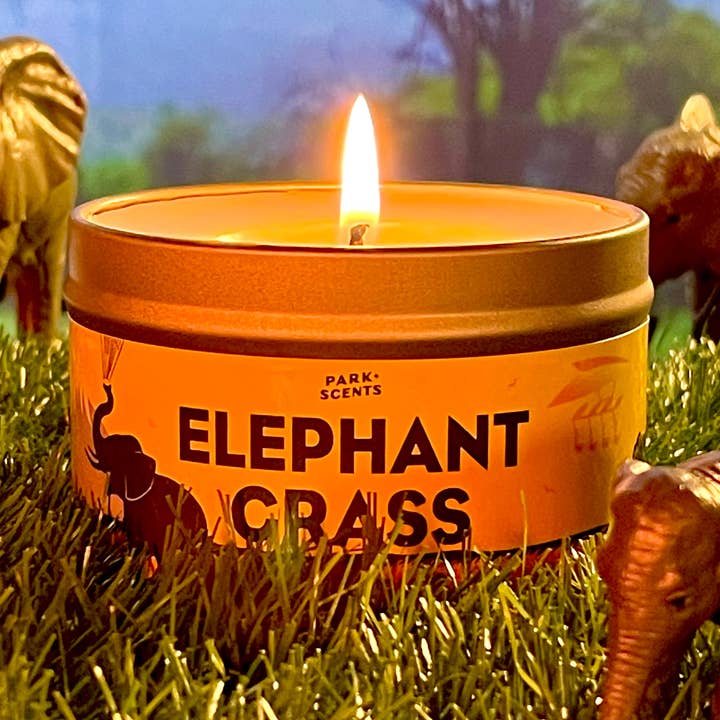Elephant Grass Candle for wholesale by park scents