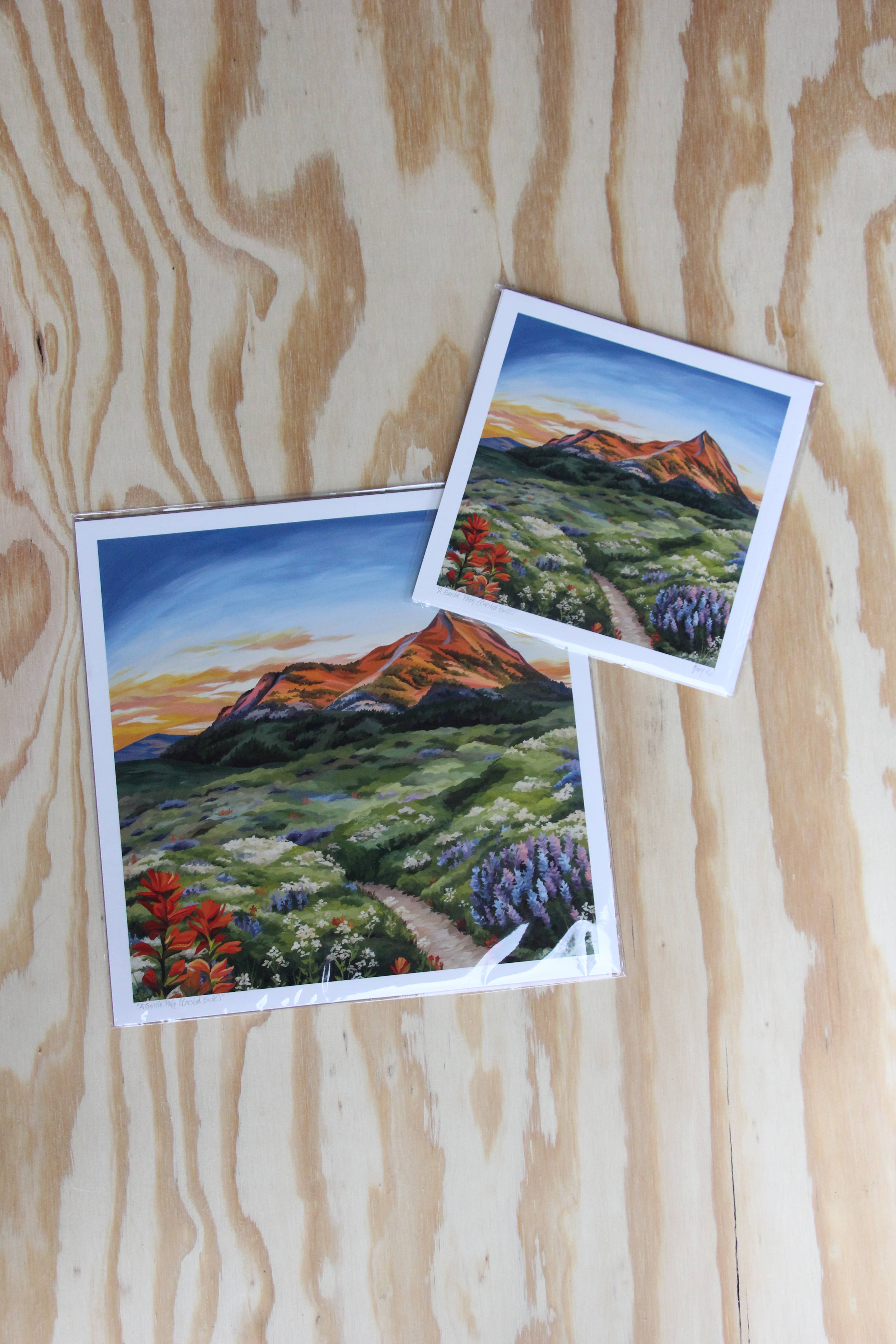 V Dub Art - Wholesale Art Print - A Gentle Path (Crested Butte) Giclee Print3