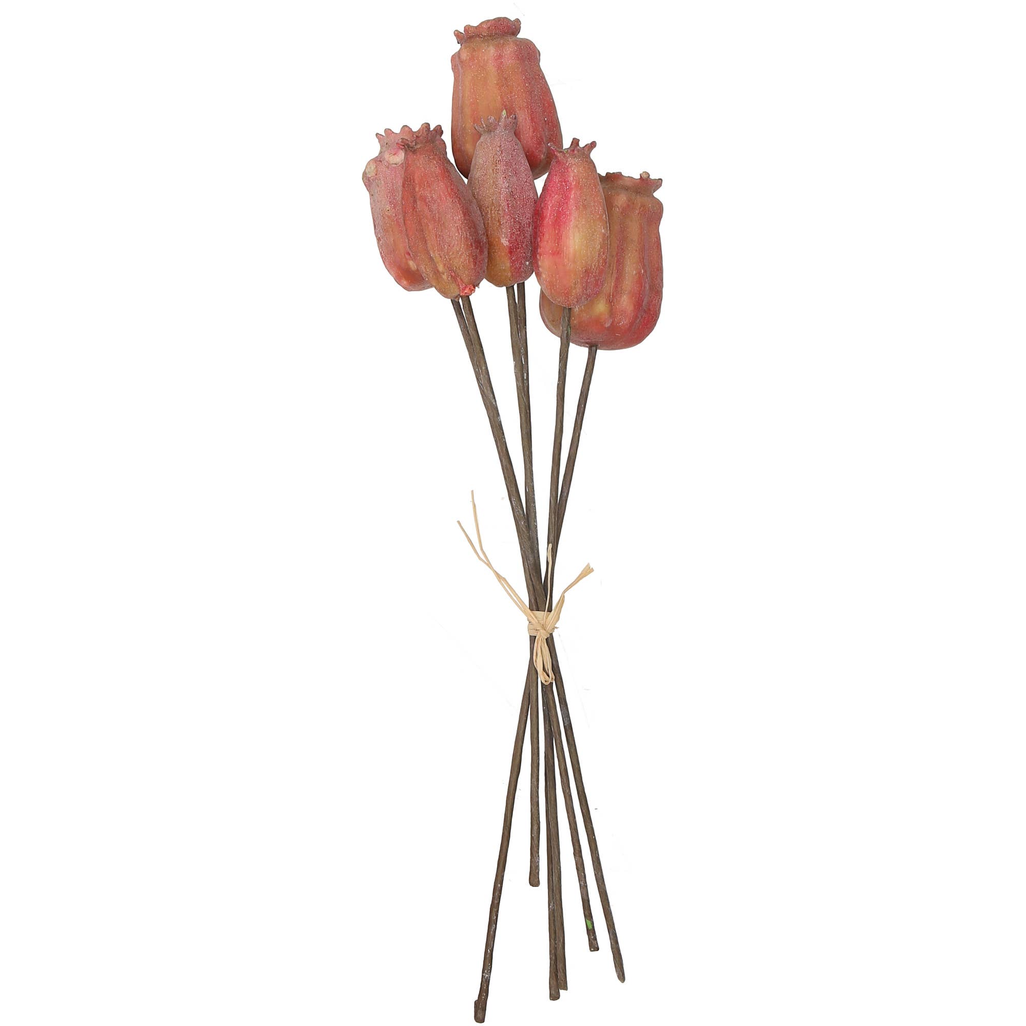 Vosteen - Wholesale Outdoor Ornament/Decor - Bunch Momo poppy capsule, 6 branches, L27cm, rose0